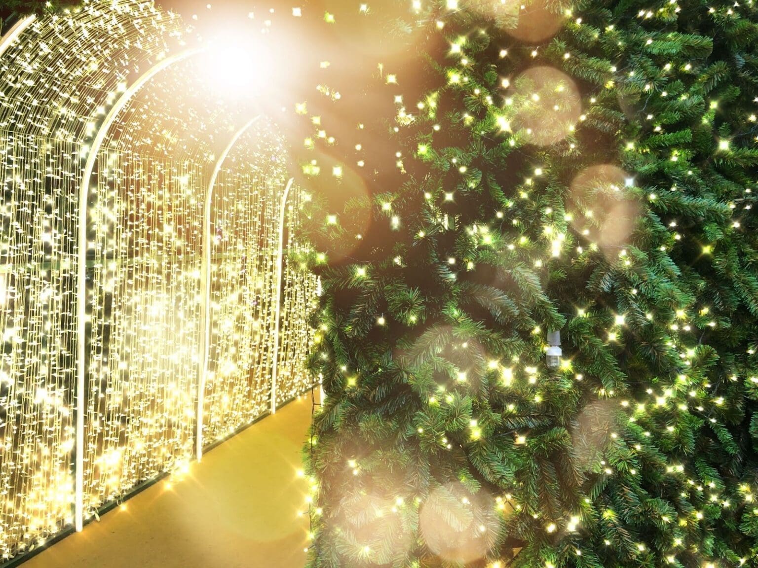 Christmas Lights and Eye Health A Festive Guide